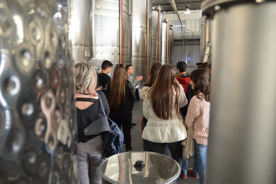 tourists visiting wine storage tanks at Oinodos Wines facilities